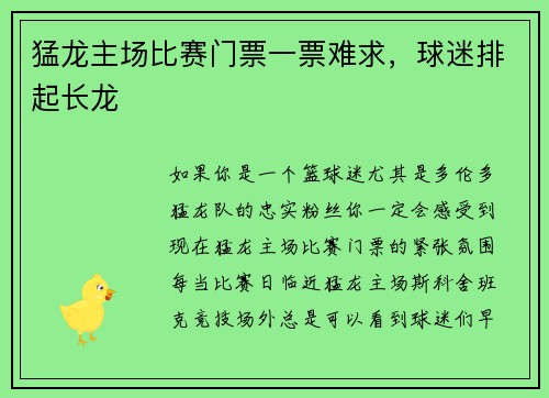 猛龙主场比赛门票一票难求，球迷排起长龙